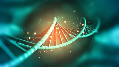 8. Sınıf DNA ve Genetik Kod: DNA İzolasyonu Deneyi 4 dna 1 e1668782788206