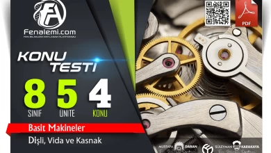 disli kapak